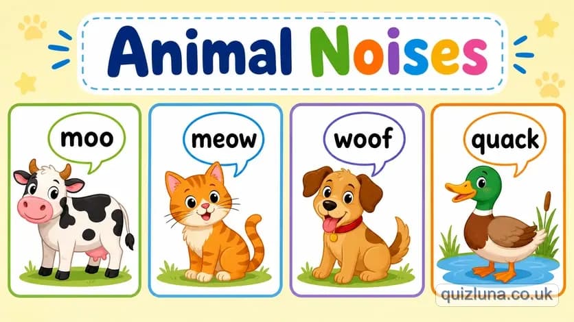 Animal Noises