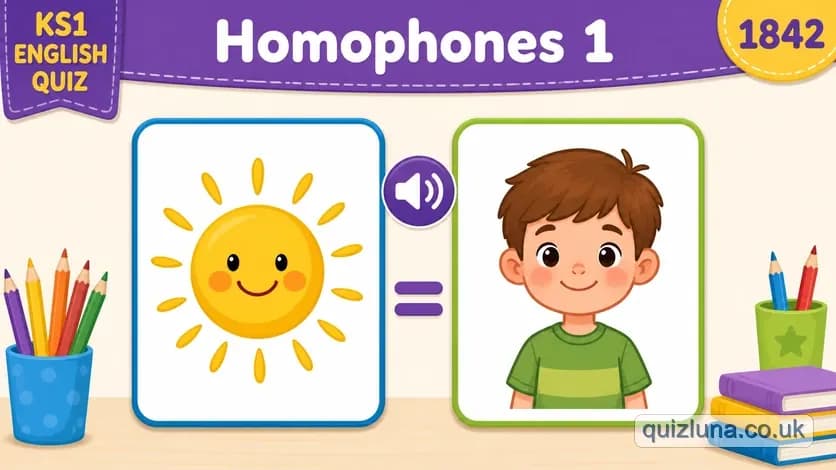 Homophones 1