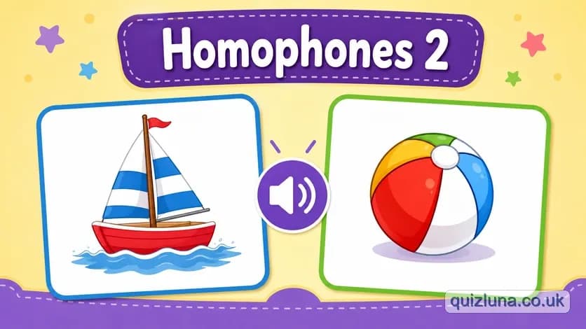 Homophones 2