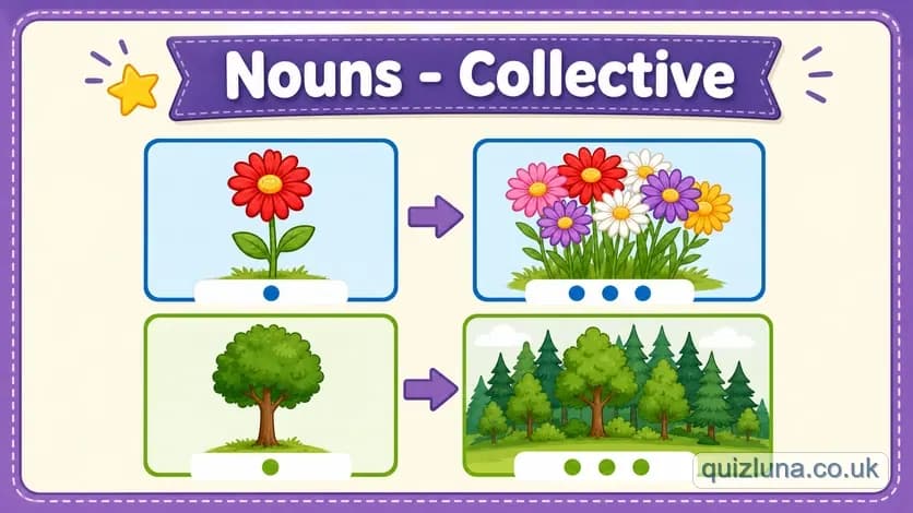 Nouns - Collective
