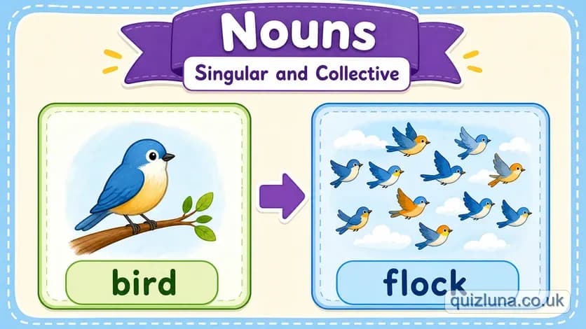 Nouns - Singular and Collective