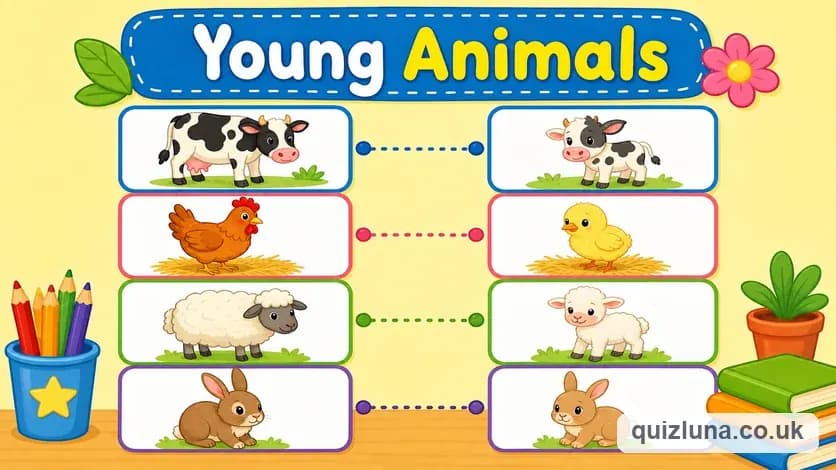 Young Animals