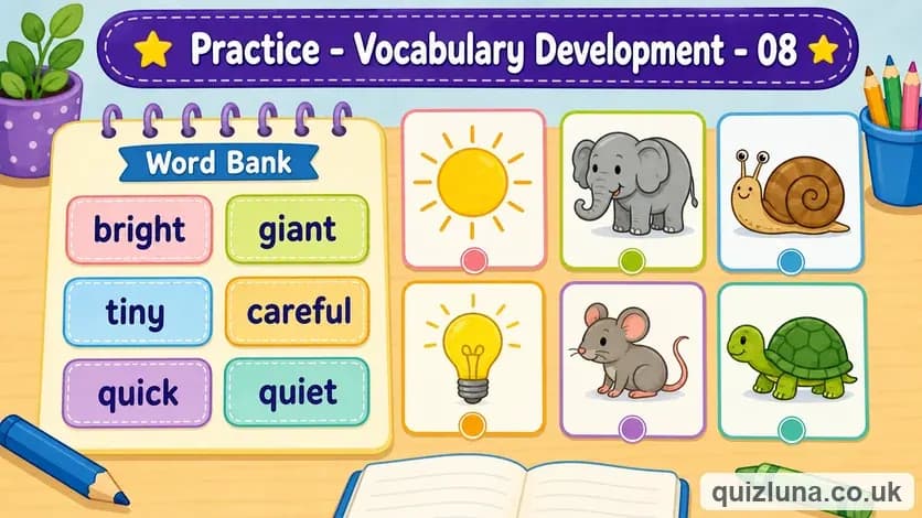 Practice - Vocabulary Development - 08